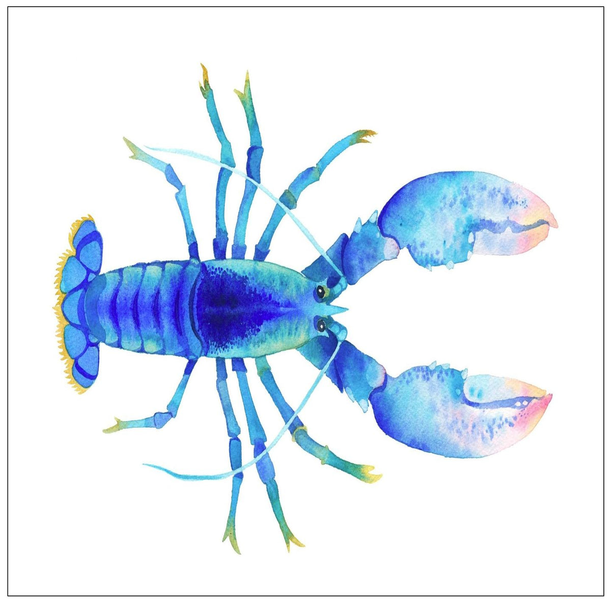 Blue Lobster Swatch